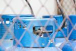 TDT ostrzega przed zagrożeniami związanymi z LPG