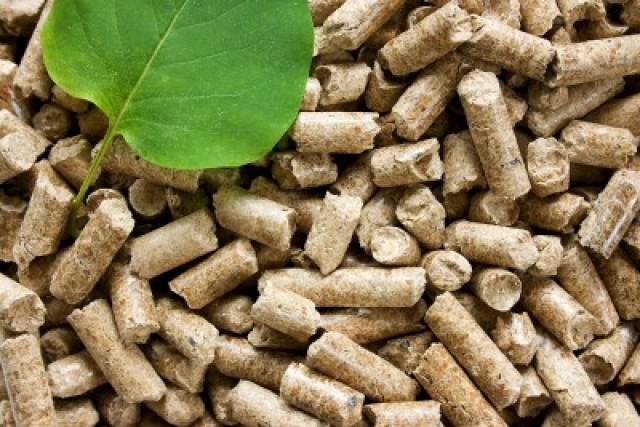Pellet zapewni bezpieczeństwo Europie? Pellet zapewni bezpieczeństwo Europie?